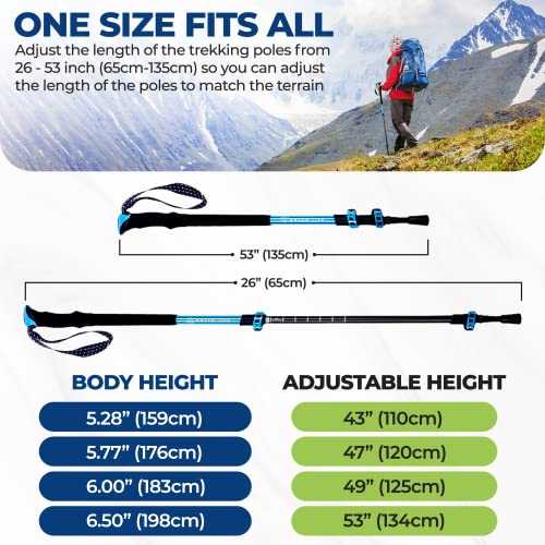Yatta Life Adventure Pro Trekking Poles - Image 5