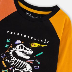 Black Long Sleeve Raglan T-Shirt With Glow-In-The-Dark Dinosaur Print - Image 4