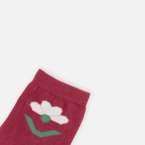 Socks Off-White And Pink - Image 3