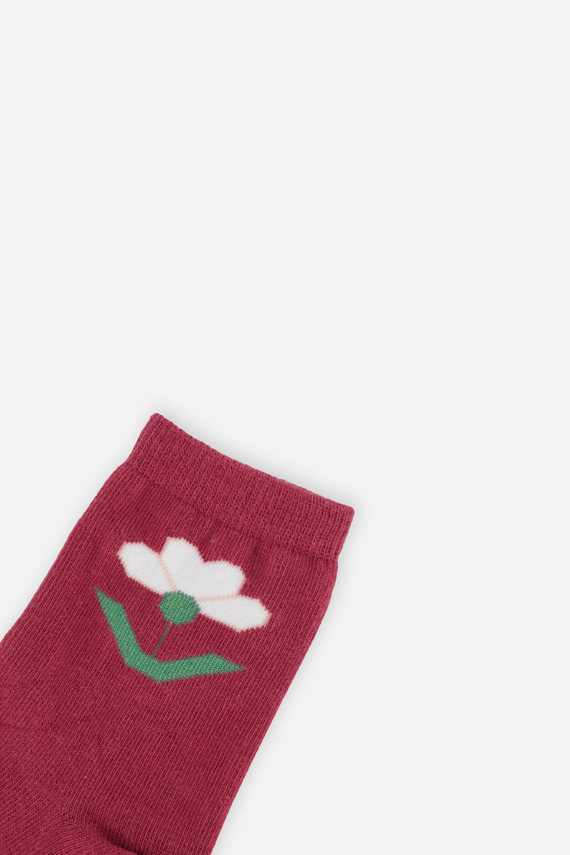 Socks Off-White And Pink - Image 3