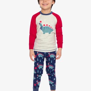 Organic Cotton Two Piece Pajama Set Blue Dinosaur Print - Image 2