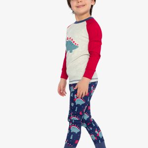 Organic Cotton Two Piece Pajama Set Blue Dinosaur Print - Image 3