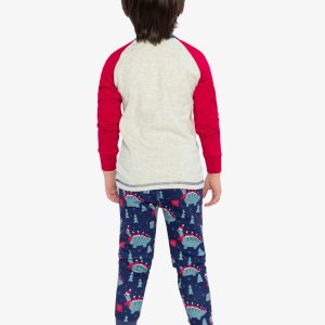 Organic Cotton Two Piece Pajama Set Blue Dinosaur Print - Image 4