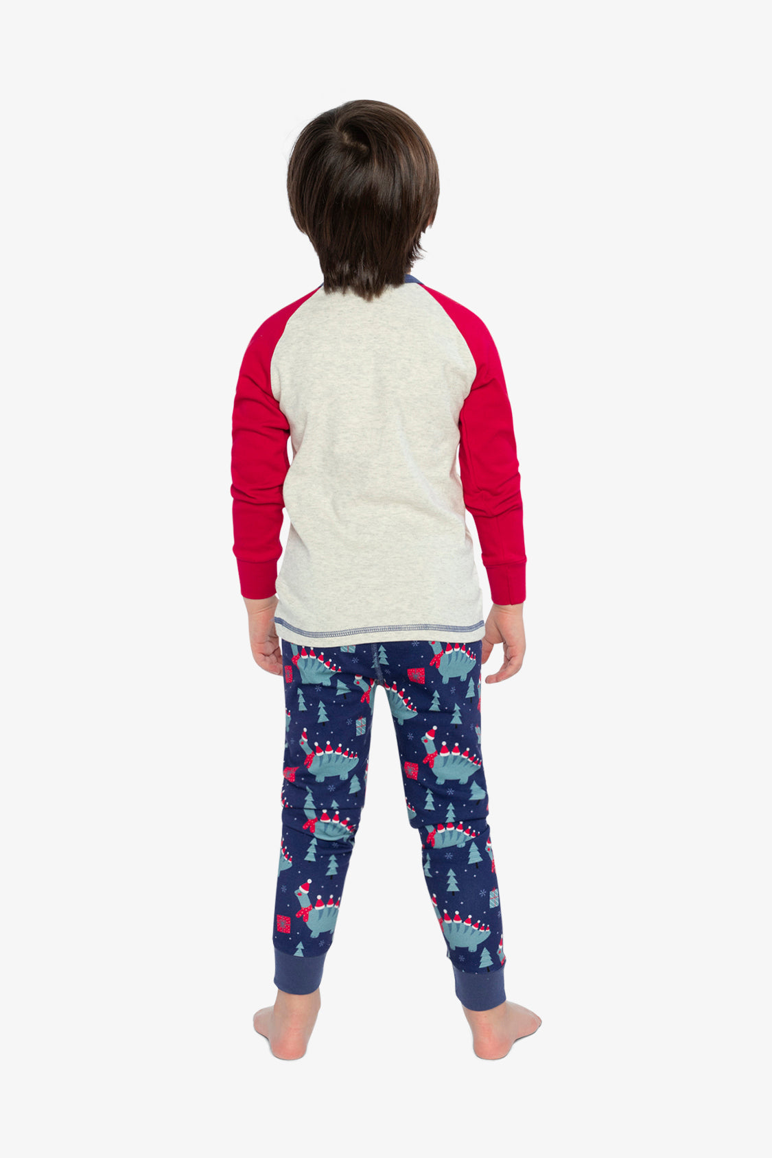 Organic Cotton Two Piece Pajama Set Blue Dinosaur Print - Image 4