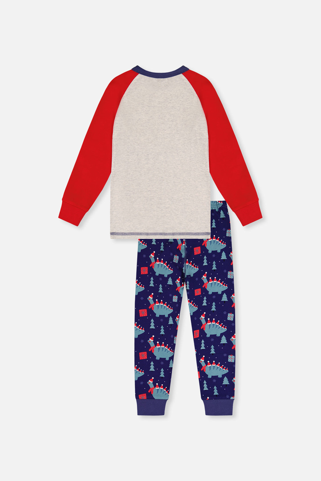 Organic Cotton Two Piece Pajama Set Blue Dinosaur Print - Image 5