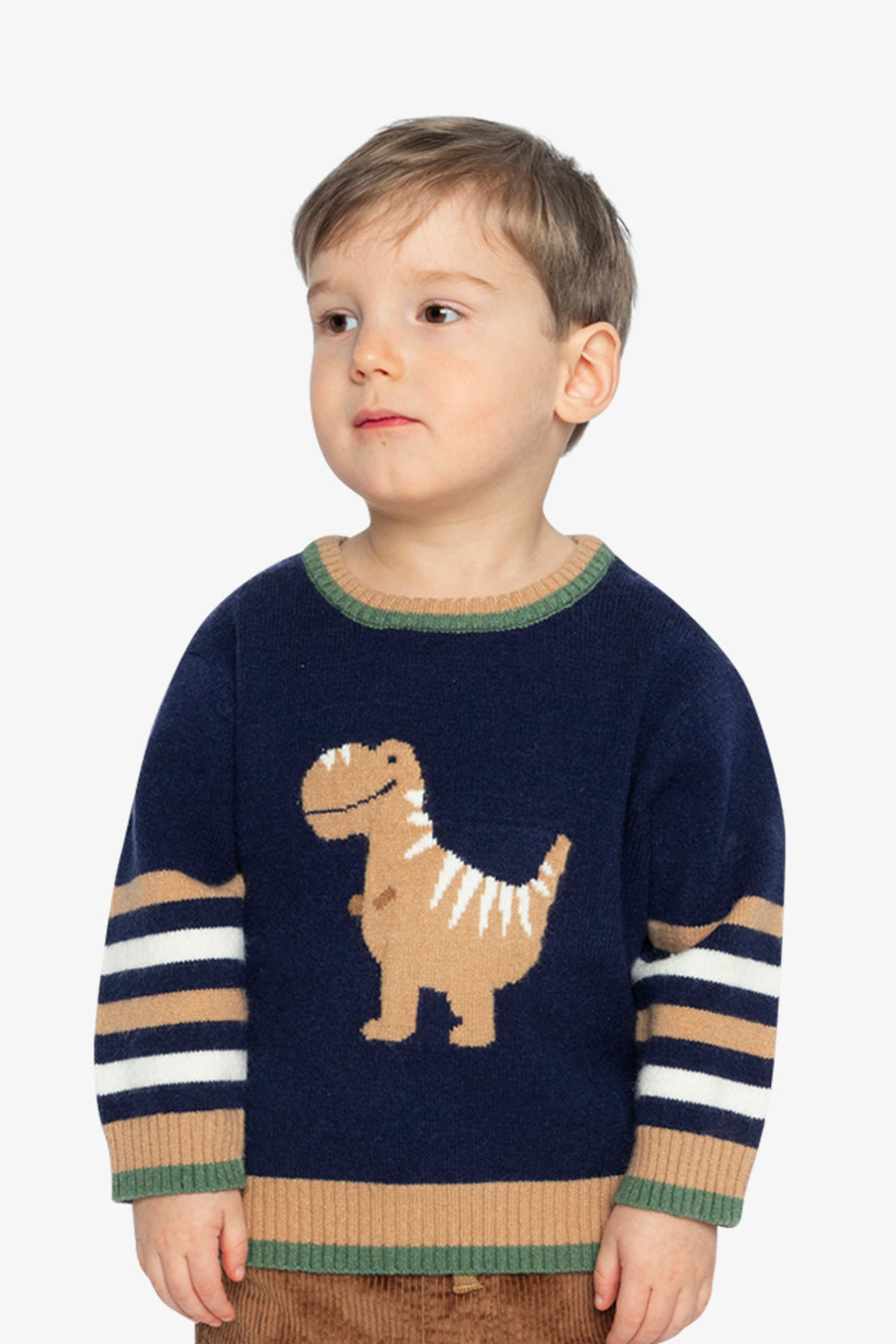 Knit Sweater With Intarsia Dark Blue, Brown And Beige - Image 4