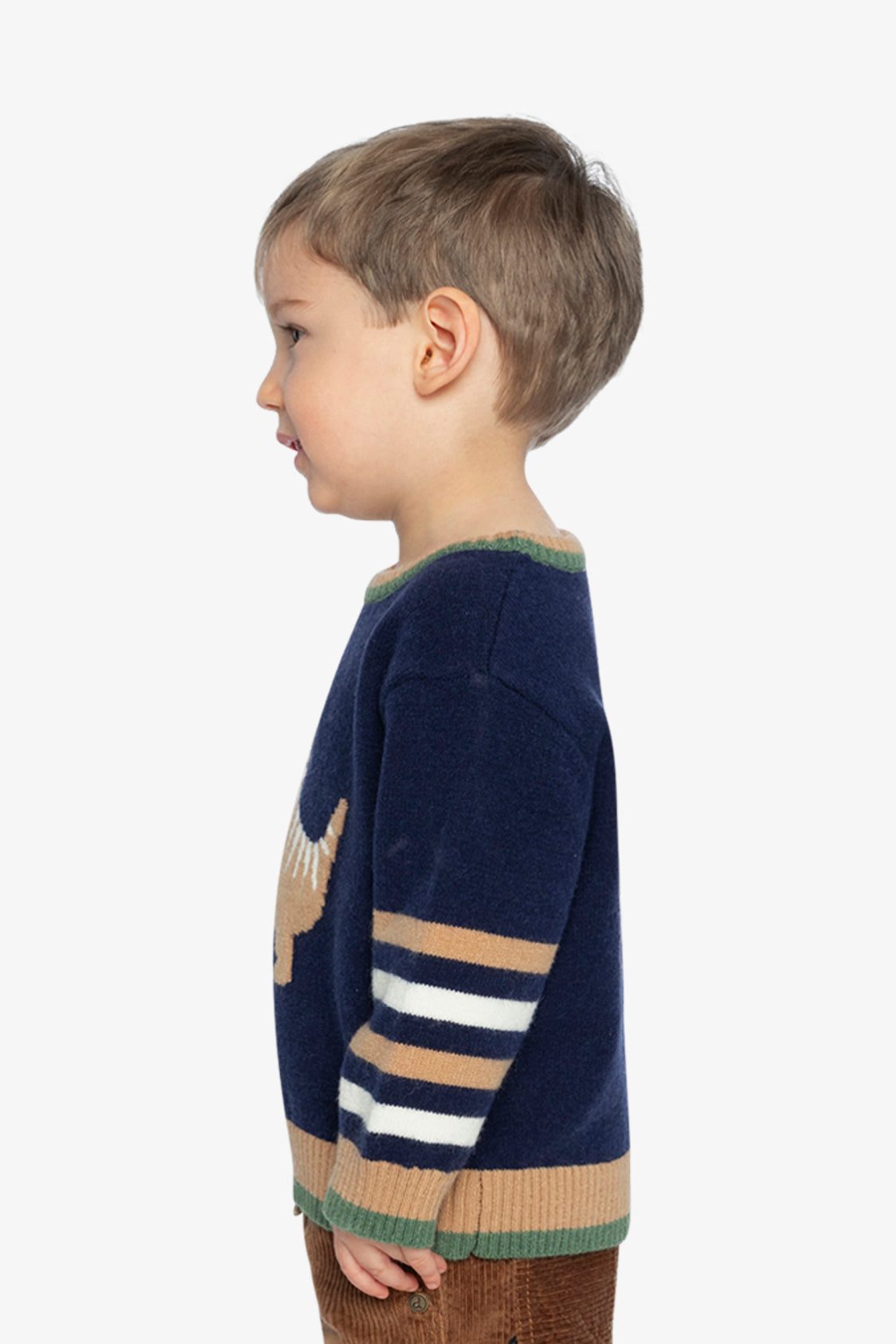 Knit Sweater With Intarsia Dark Blue, Brown And Beige - Image 5