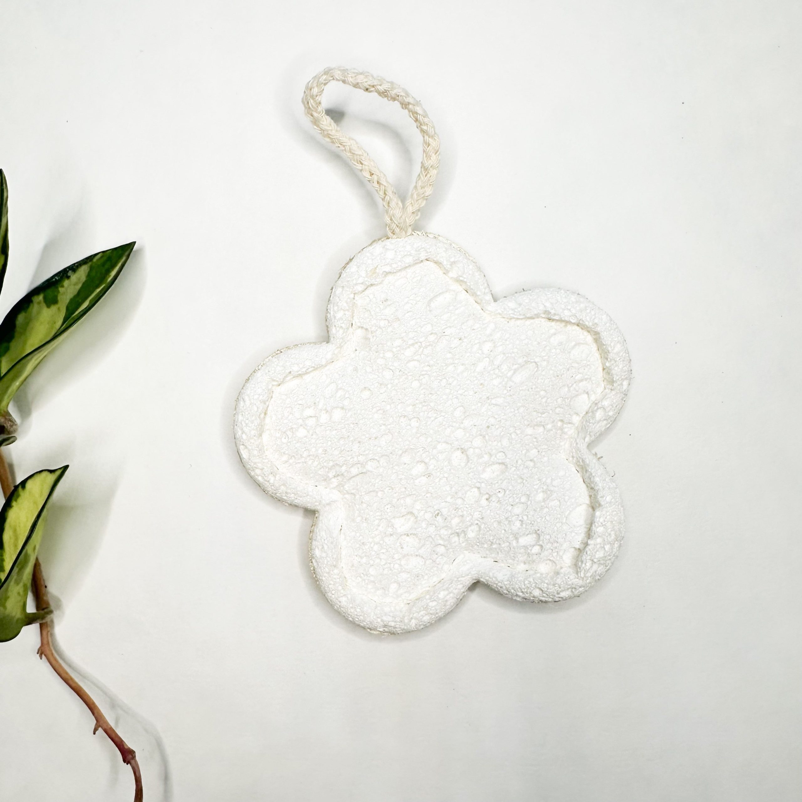 Natural Loofah & Cellulose Sponge – Gentle & Effective Cleaning - Image 4
