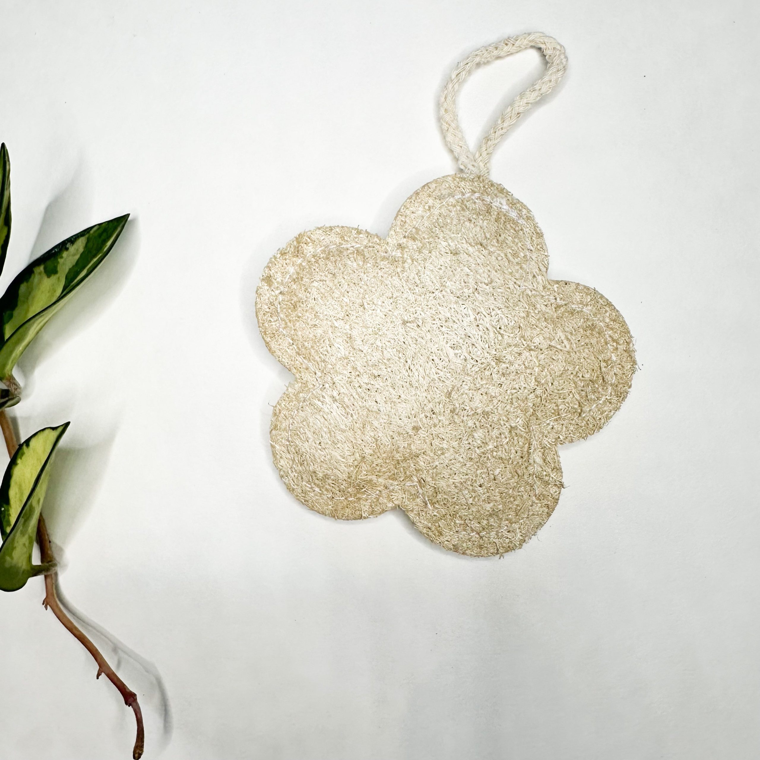 Natural Loofah & Cellulose Sponge – Gentle & Effective Cleaning - Image 2