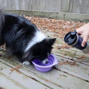 Pet Slow Feeding Set - Image 3