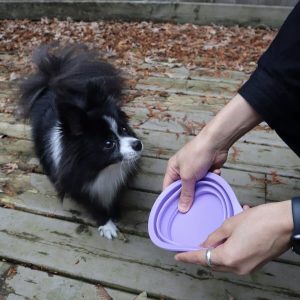 Alternative view of Pet Slow Feeding Set