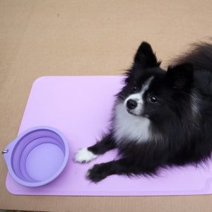 Pet Slow Feeding Set - Image 4