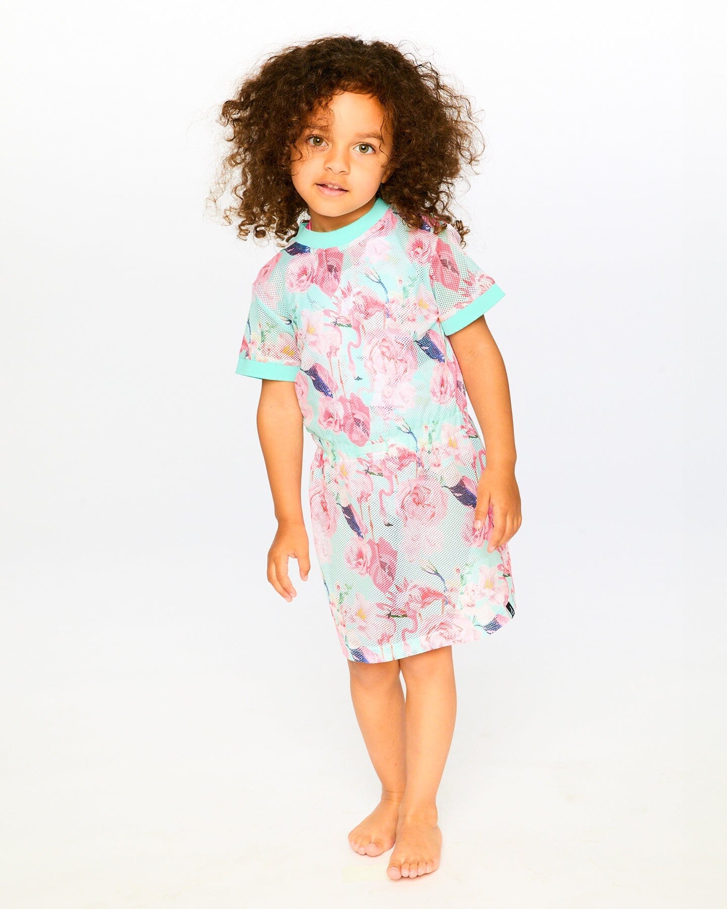 Mesh Beach Dress Blue Flamingo Print - Image 3