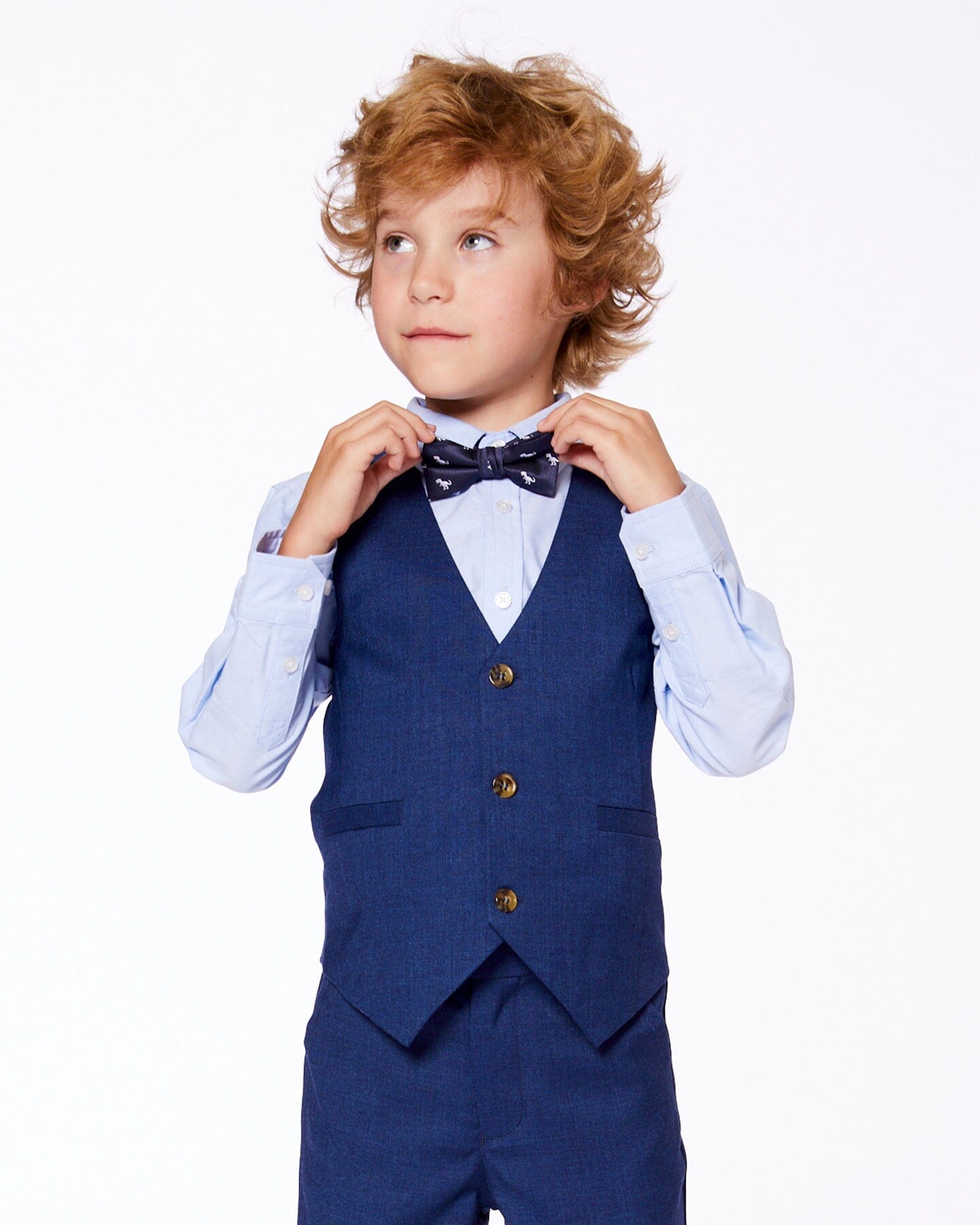 Bow Tie Blue Dino Print - Image 2