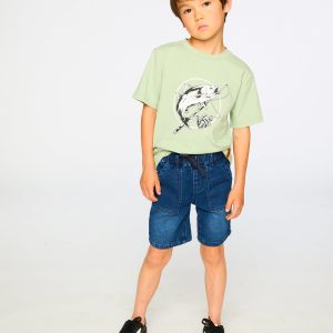 Organic Cotton Jersey T-Shirt With Print Sage - Image 3