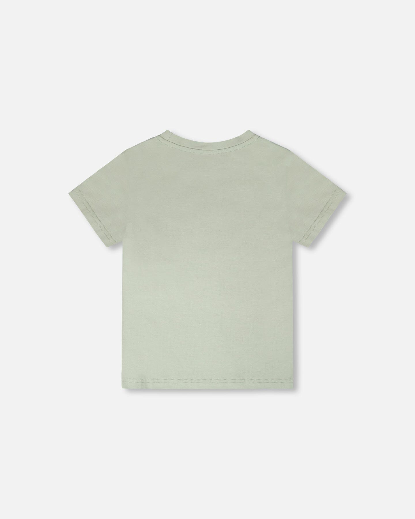 Organic Cotton Jersey T-Shirt With Print Sage - Image 4