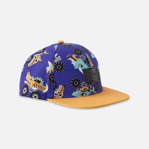 Cap Blue Truck Print