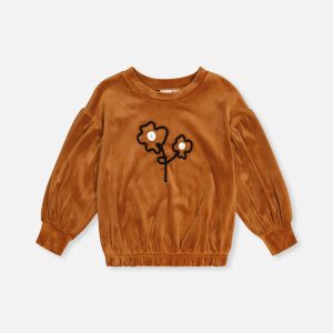 Velvet Top Brown
