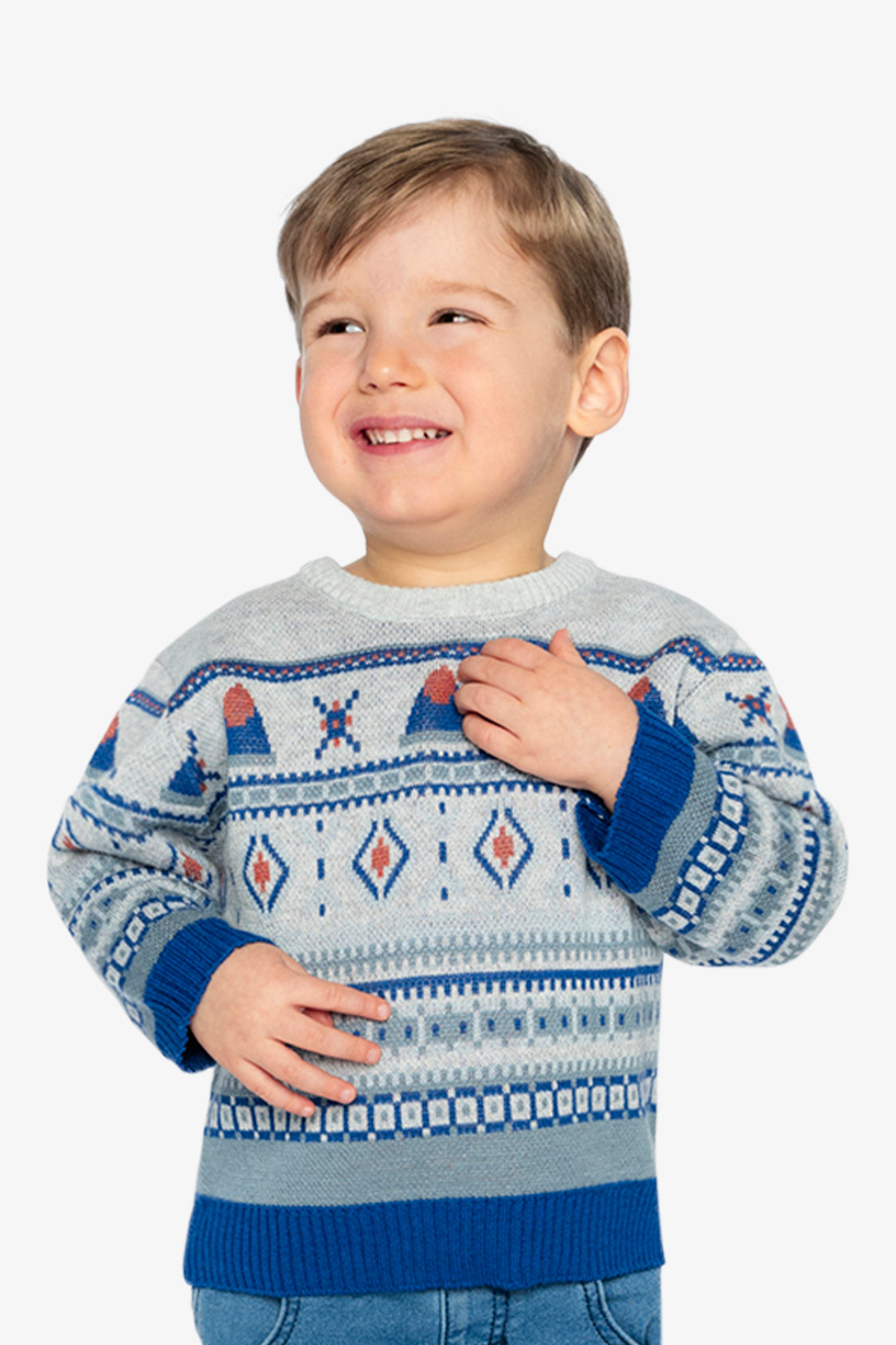 Jacquard Knit Sweater Blue And Beige - Image 3