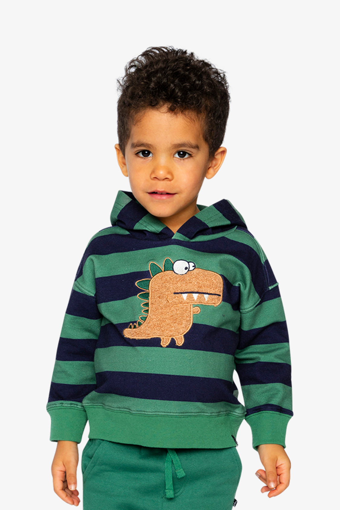 Fleece Hoodie With Applique Blue Striped Green - Image 2