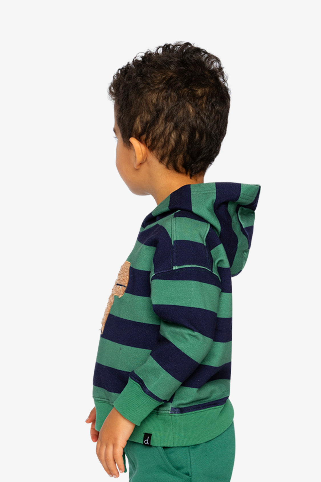 Fleece Hoodie With Applique Blue Striped Green - Image 3