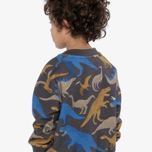Fleece Sweatshirt Grey Dinosaur Print - Image 4